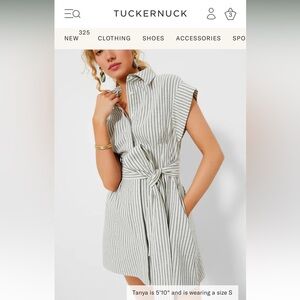 Tuckernuck linen stripe mini Callie dress